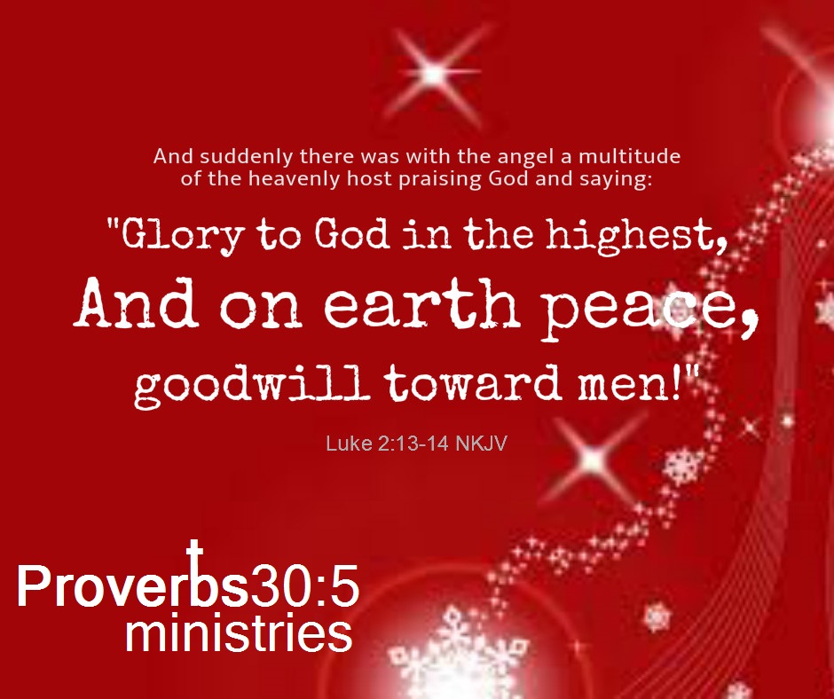 Proverbs30 5 ministries